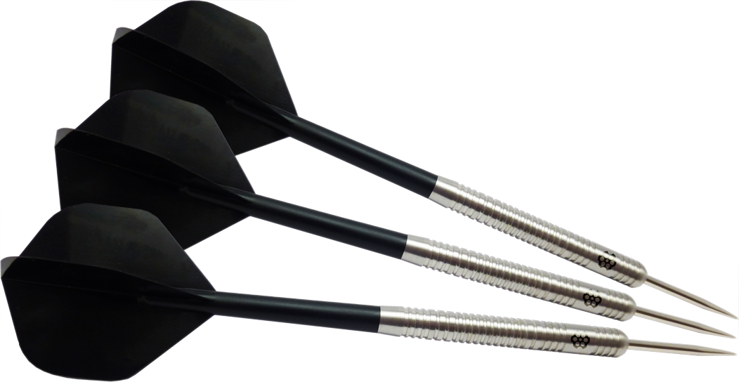 Revolver Barrington Evo darts
